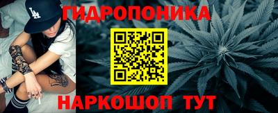 шишки Кинель