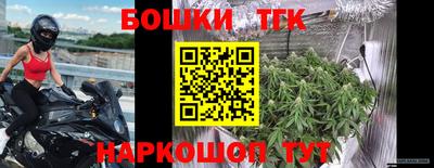 шишки Кинель