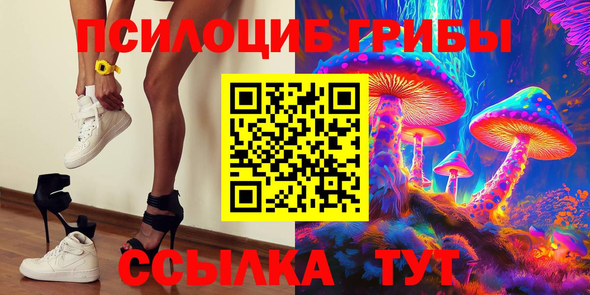 Галлюциногенные грибы Cubensis Краснознаменск