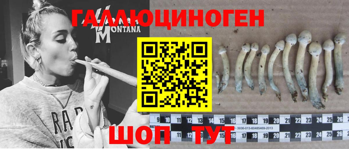 Краснознаменск  Псилоцибиновые грибы GOLDEN TEACHER  Вход с VPN 