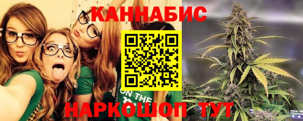 Шишки марихуана план Краснознаменск